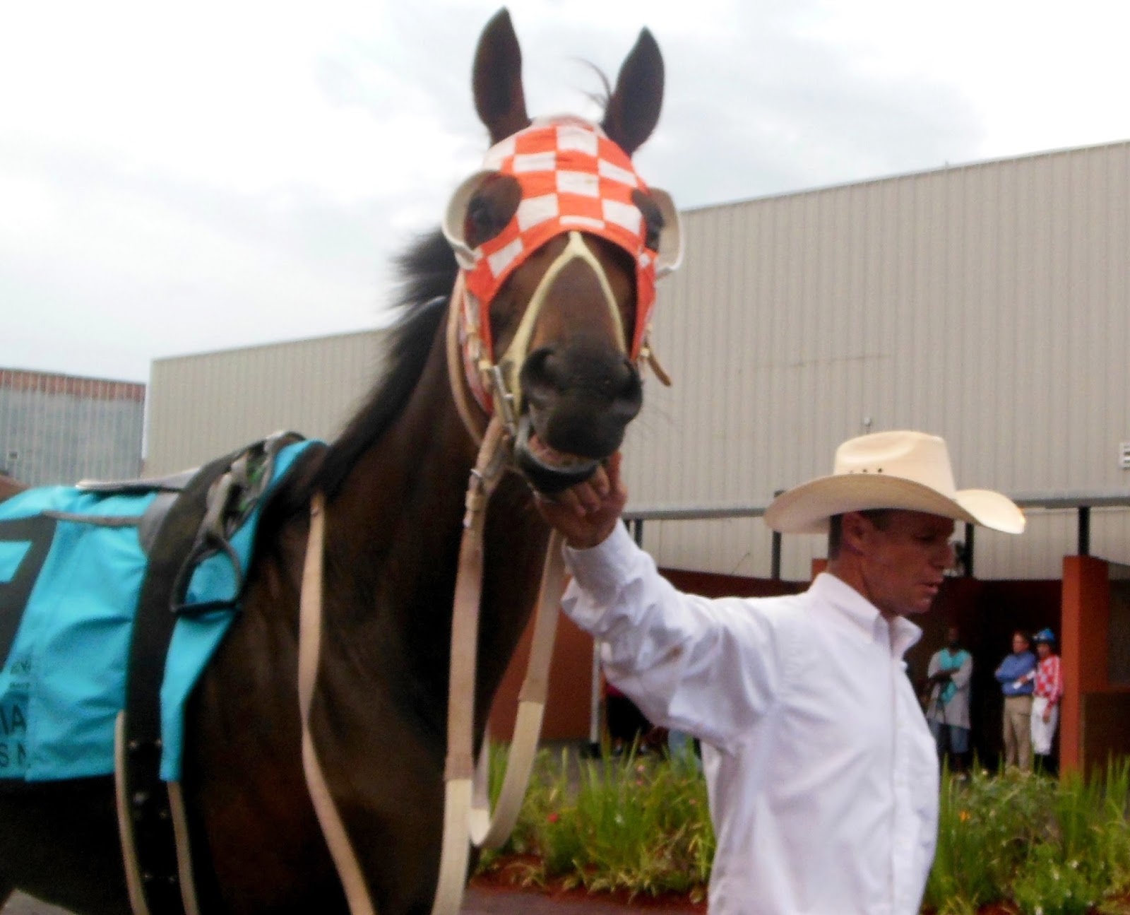 Living Rootless Opelousas Evangeline Downs An Evening at the Races