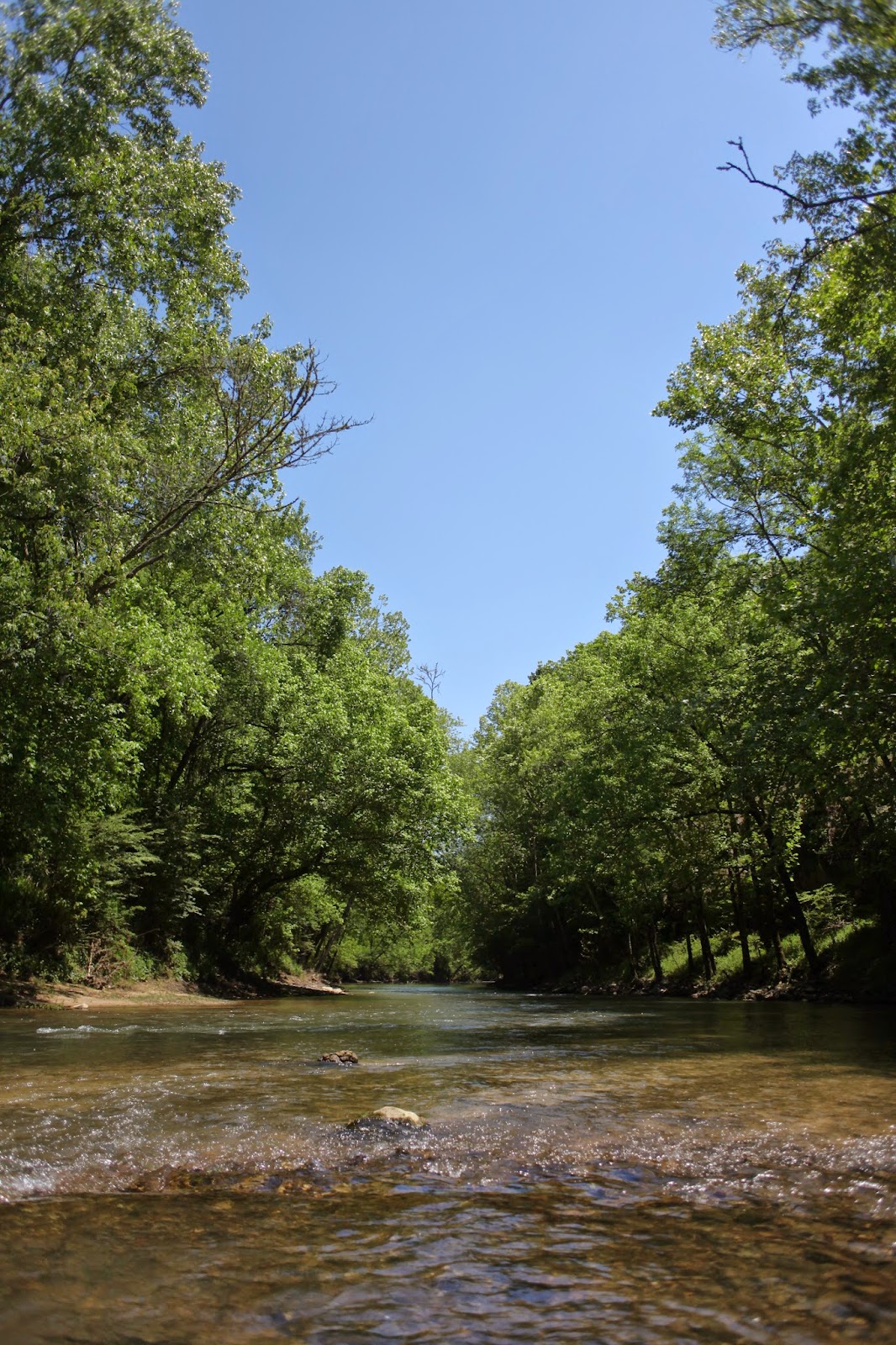 Discovering Jackson County Float the Paint Rock River