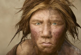 investigadores resuelven el enigma sobre la extincion de los neandertales Extinción