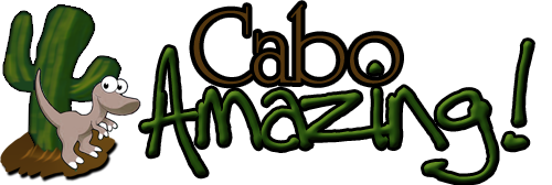 Cabo Amazing - Cabo Tours, Info and News