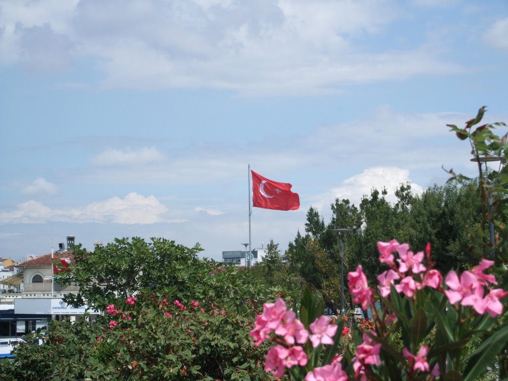 manzarali turk bayraklari 3