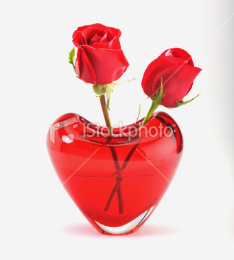 heart shape roses