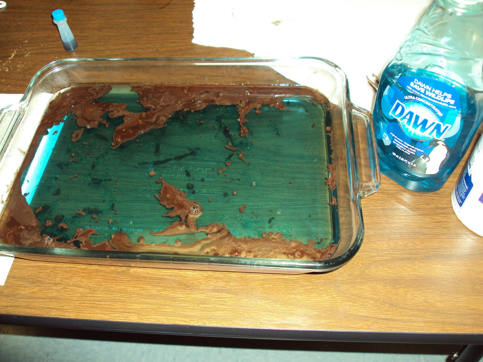 Cardigans and Curriculum Oil Spill Simulation