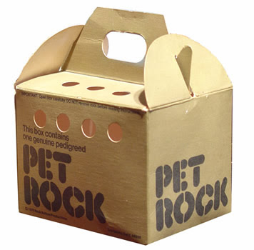 pet rock box