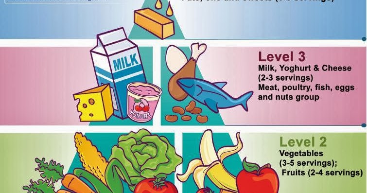 MYP I Grade 6 Science Blog: Food Pyramids