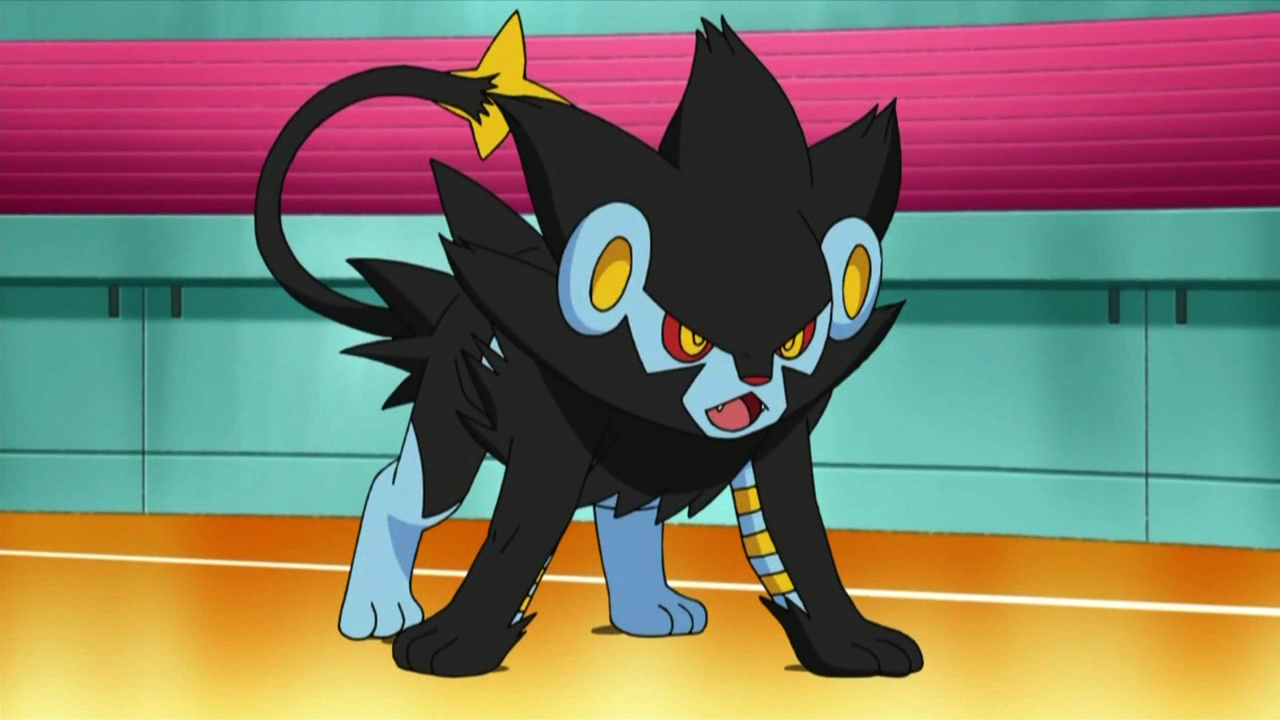 My Favorite Pokémon 1 Luxray