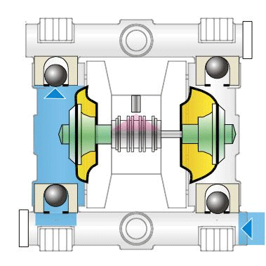 pump diaphragm water does veins cleaned washer pete pumpe power forced roller between similar