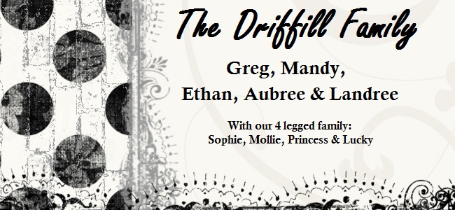 The Driffill Family