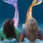 Mermaids of the Lake on Facebook