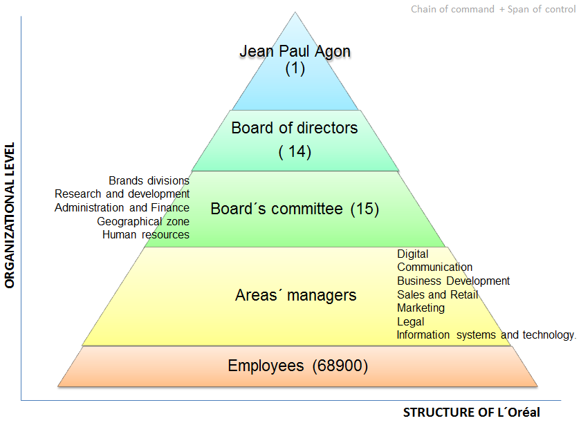 L Oreal Organizational Chart