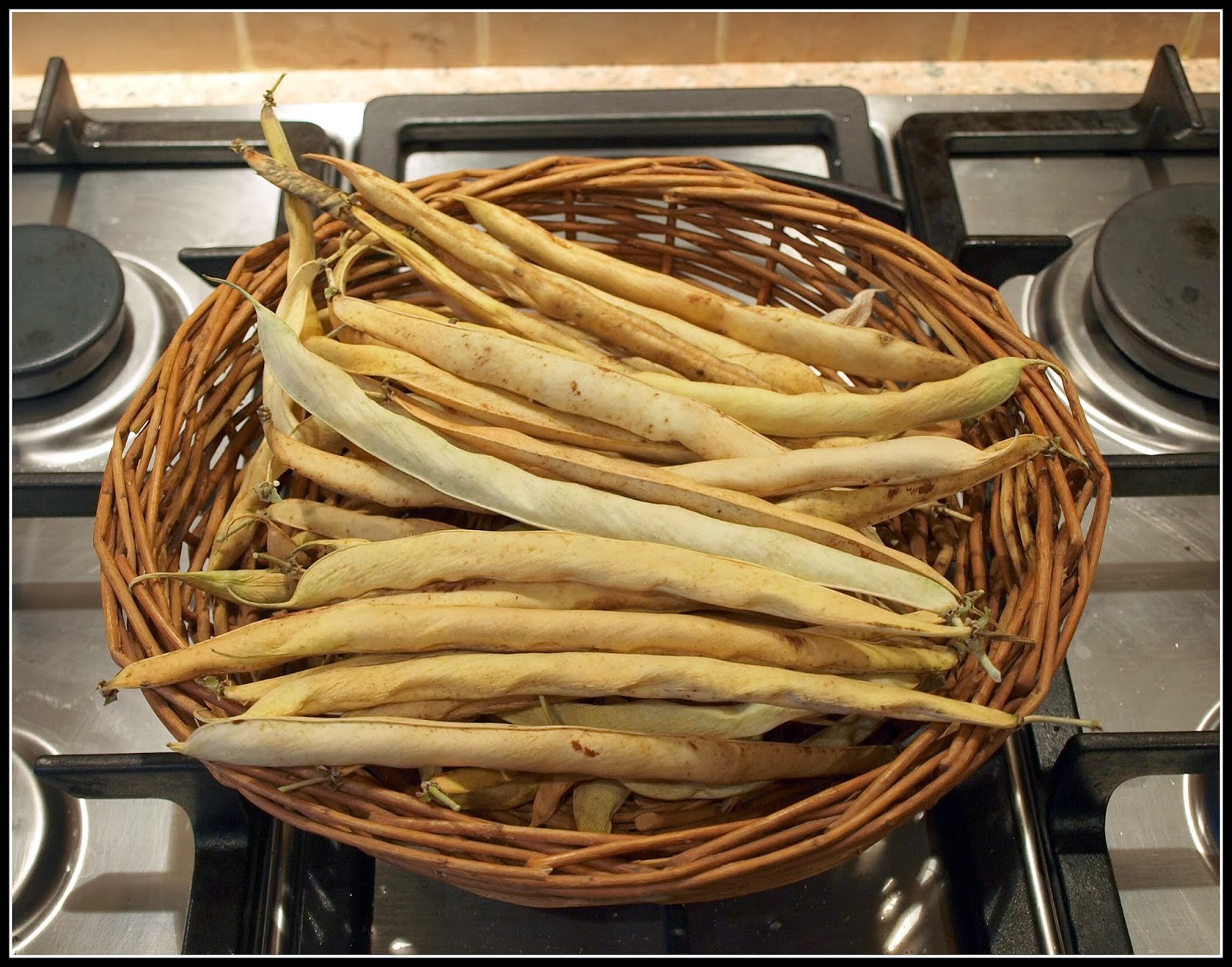 Mark's Veg Plot Shelling beans