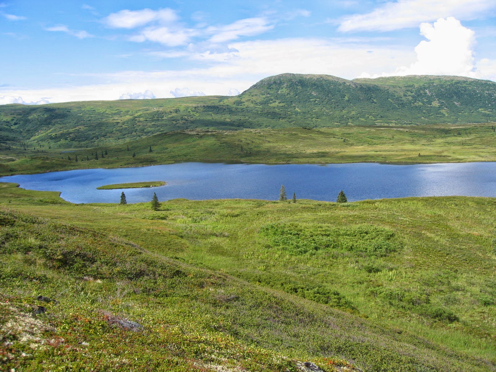 The Australian Climate Sceptics Blog NASA discovers Greenland WAS