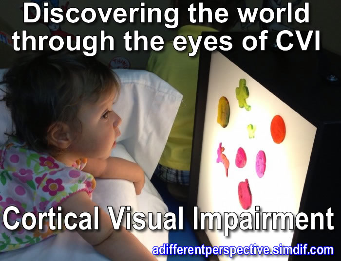 I AM Buddy, The BUDDHA From Mississippi ™ Cortical Visual Impairment