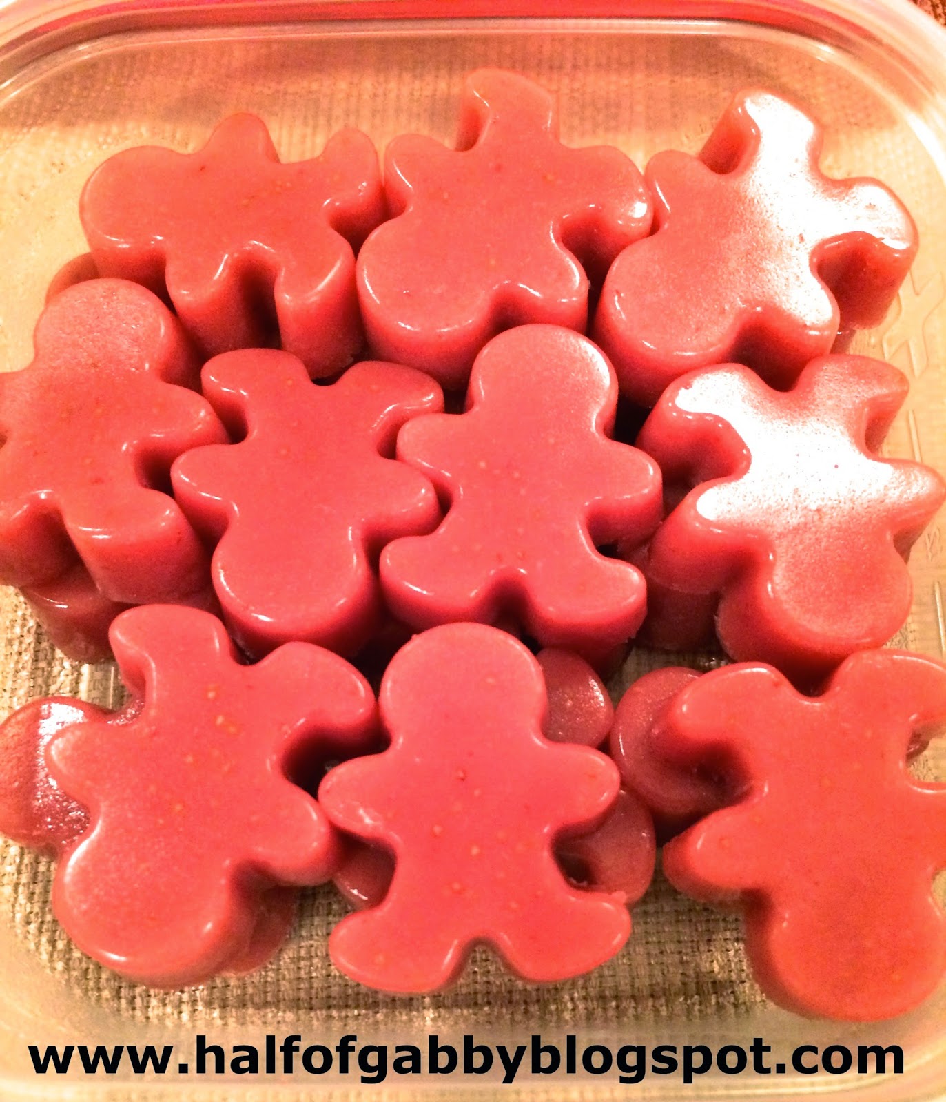 HALF OF GABBY How to Lose Weight & Get Fit HEALTHY PROTEIN GUMMIES