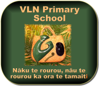 VLN Primary School