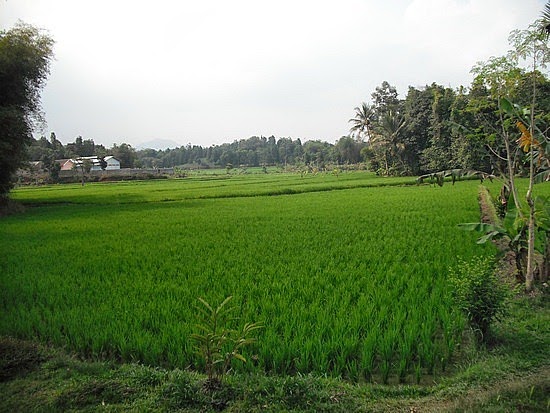 JENDELA INFORMASI BOGOR, CIANJUR & SUKABUMI: 7 Tempat ...