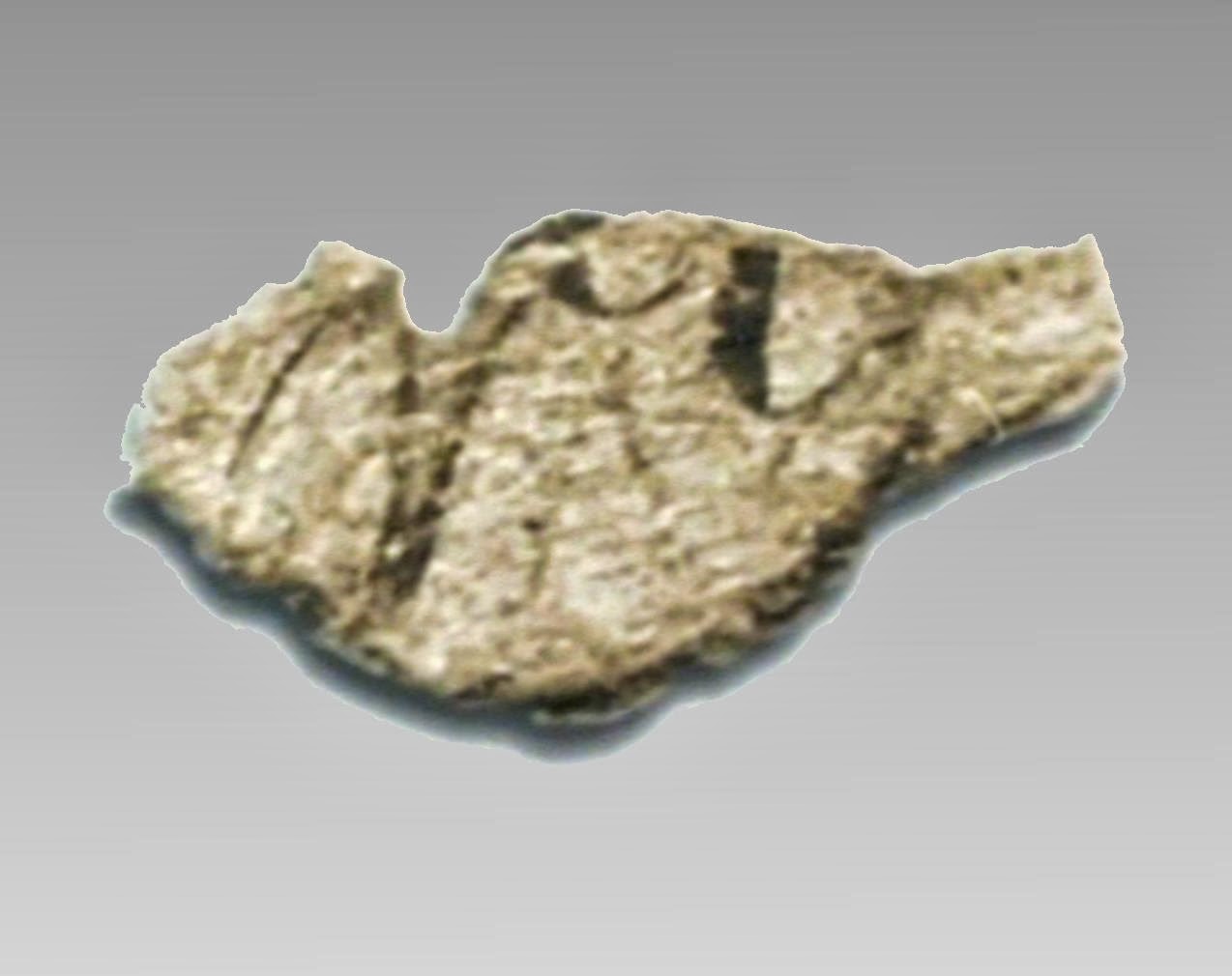 The Midnight Freemasons The Mystery of Oak Island Masonic