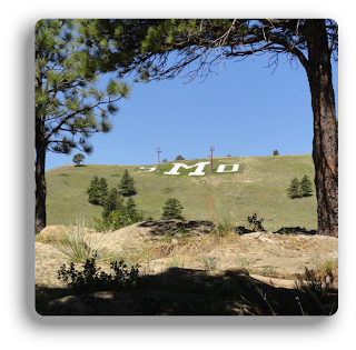 On top of M-Hill in northwest Rapid City lays the emblem for the South Dakota School of Mines and Technology University'