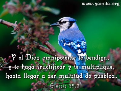 Dios Les Bendiga