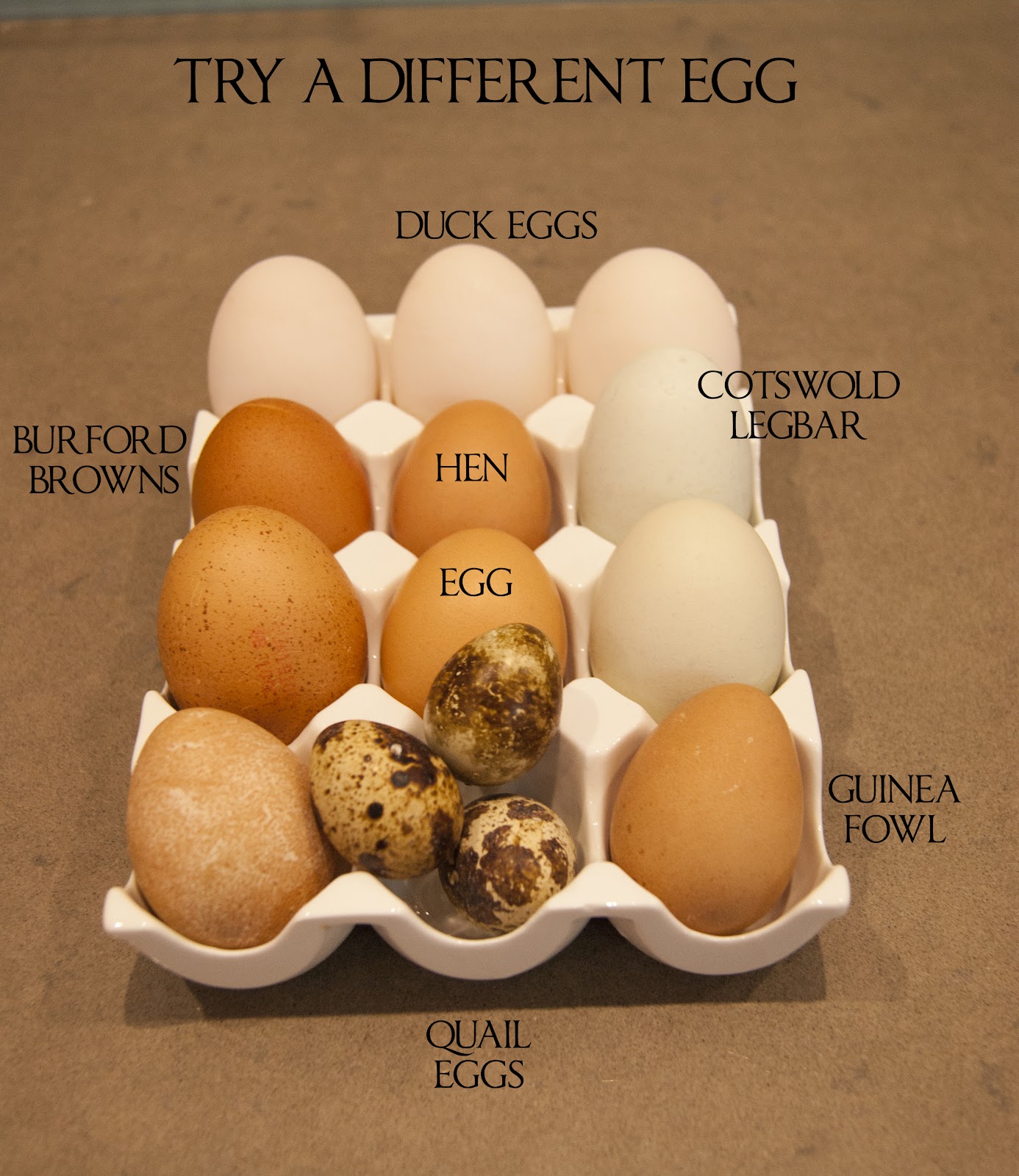 The Devilled Egg Kitchen Academy Bristol