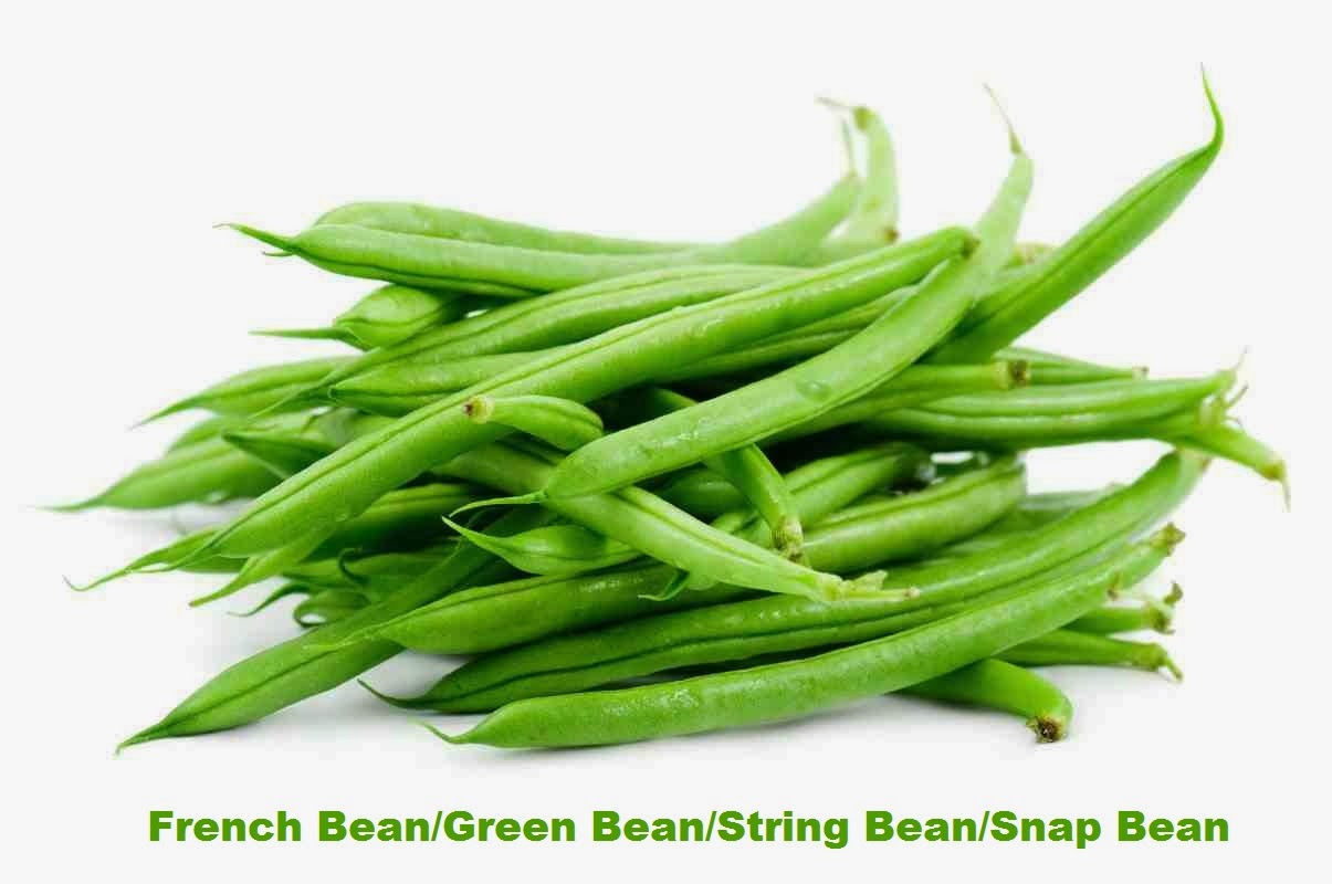 Business Ideas Small Business Ideas Growing French Beans to Earn