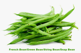 Growing French Beans to Earn Money