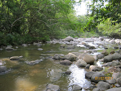 NO CONTAMINEMOS LAS AGUAS