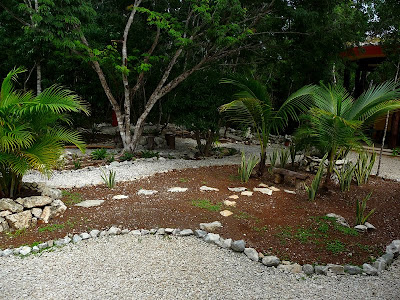 Un jardín colgante en la selva · Naturación de azoteas · Paisajismo