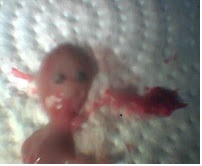 dinsiz deist blogger