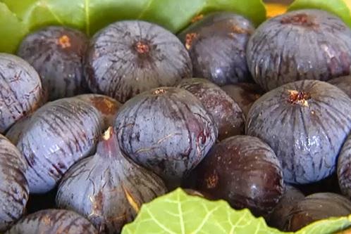 Les Fruits Et Legumes Commencant Par La Lettre L Les Saisons Des Fruits Et Legumes