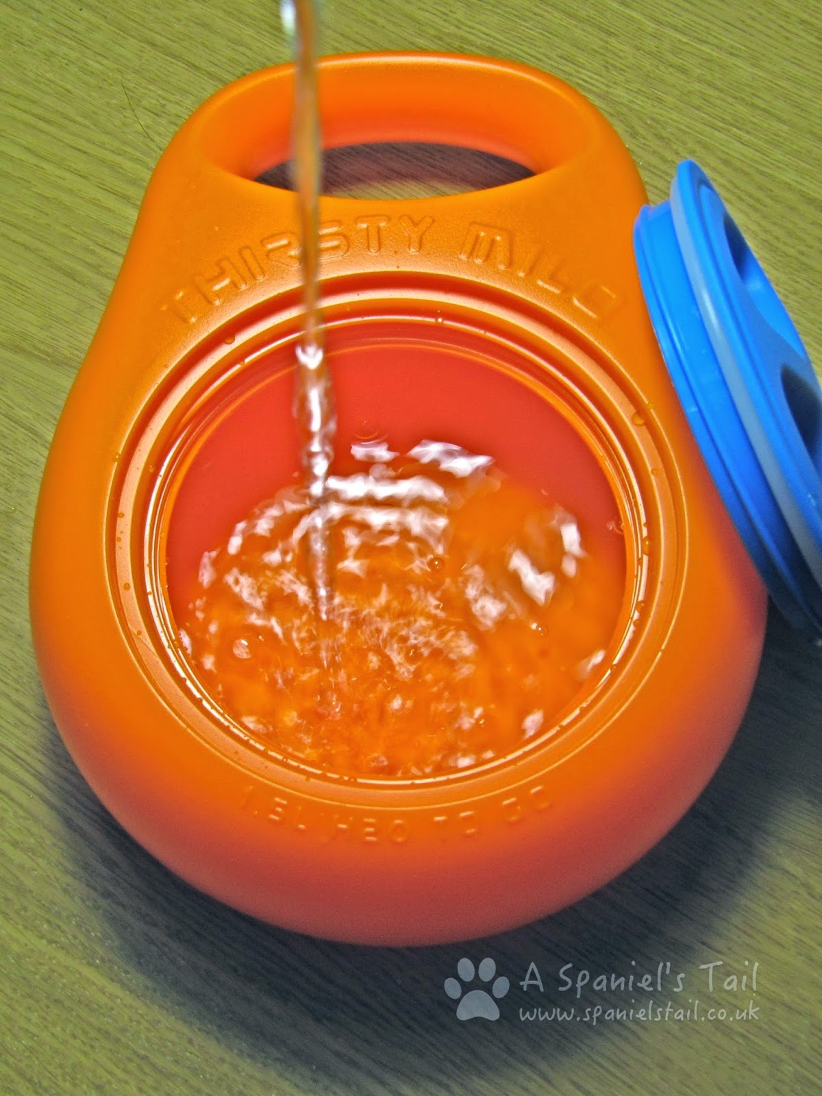 A Spaniel's Tail Product Review Thirsty Milo Portable Water Bowl A Spaniel's Tail Product Review Thirsty Milo Portable Water Bowl