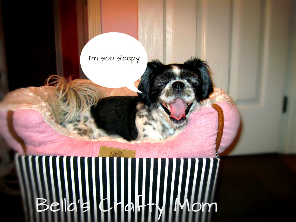 Bella's Crafty Mom Easy Doggy Car Seat