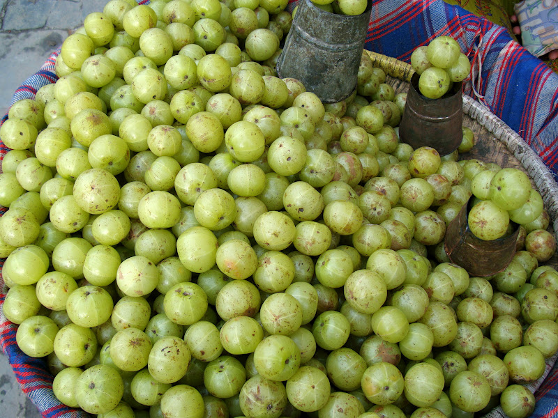 Lists of most common fruits of Nepal (NepaliEnglish)