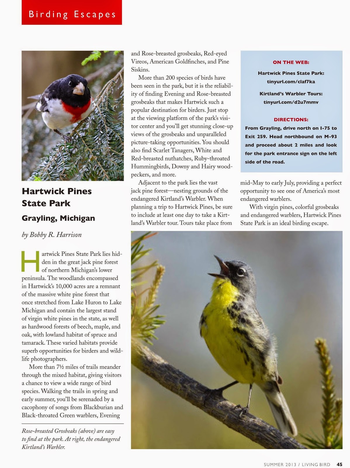 Bobby Harrison Bird Photography September 2013