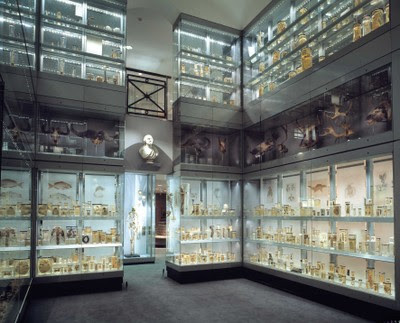 museum london anatomy museums tour october edmonson dittrick jim