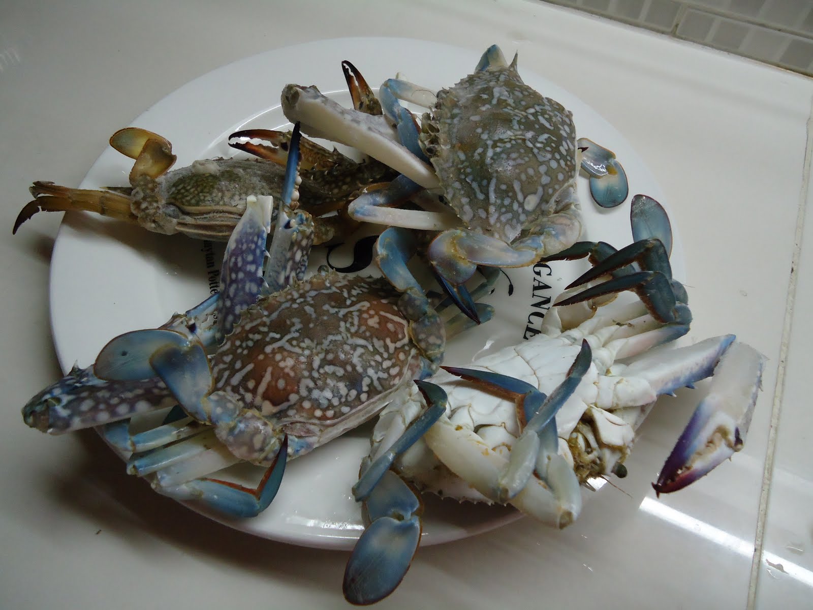 My Cool Cakes Flower Crab How To Prepare