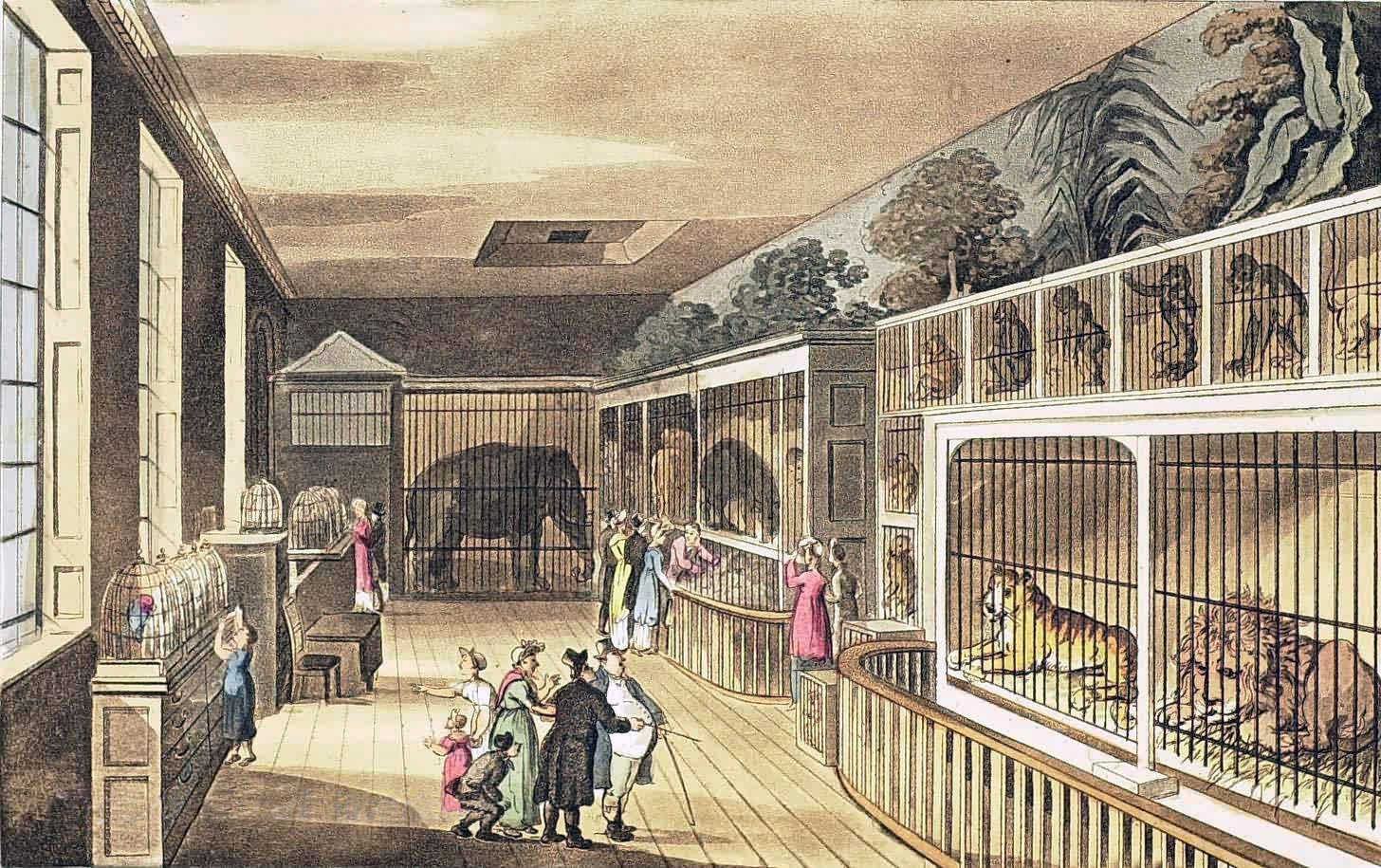 Grace Elliot blog. As Popular as Wimbledon 19th Century Attractions