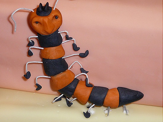 thecontemplativecat September 2011