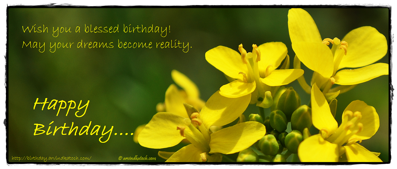 Birthday Card of Yellow Mustard Flowers (Wish you a blessed birthday