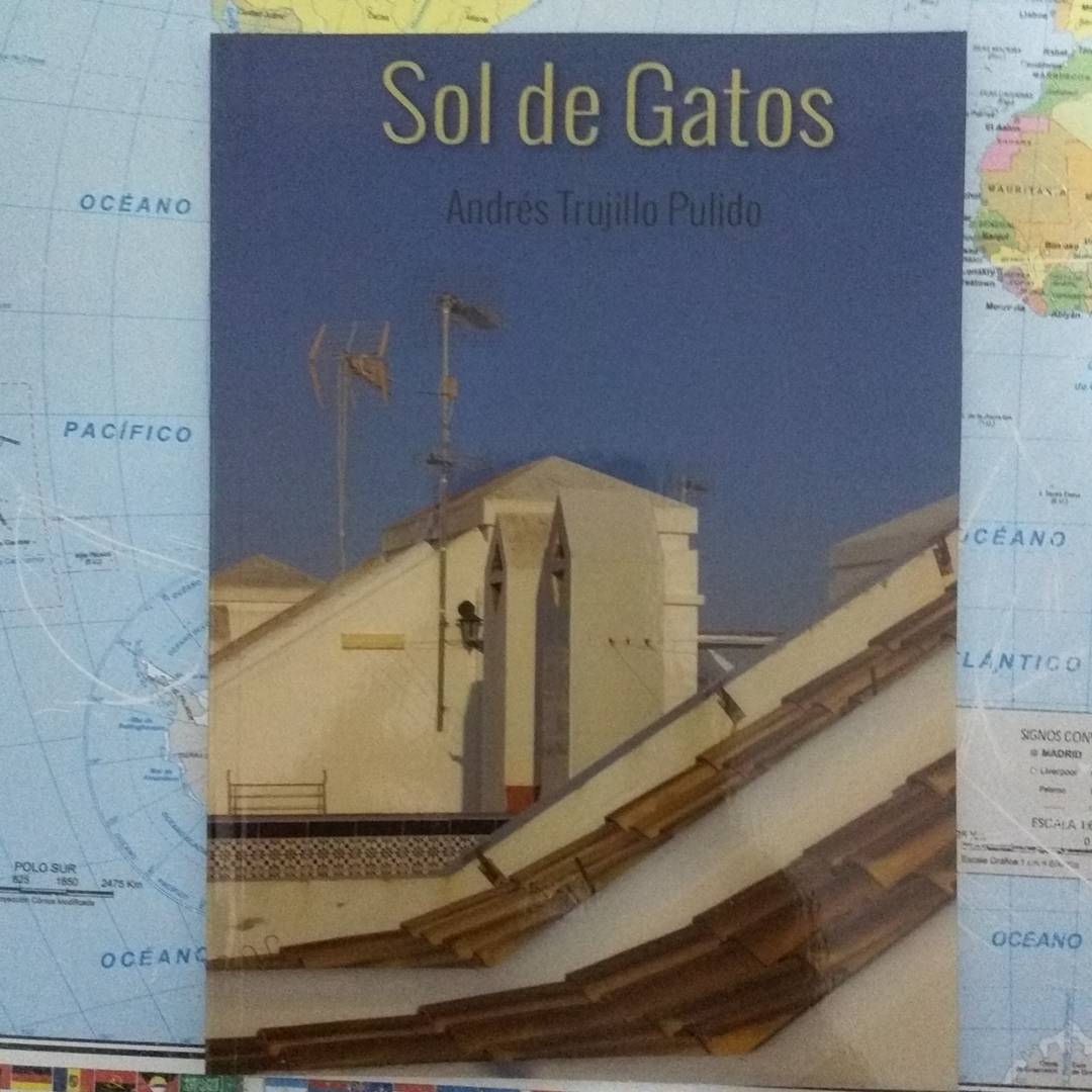 "Sol de Gatos"