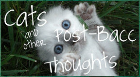 “Cat and other post-bacc thoughts” By Christiana Martin