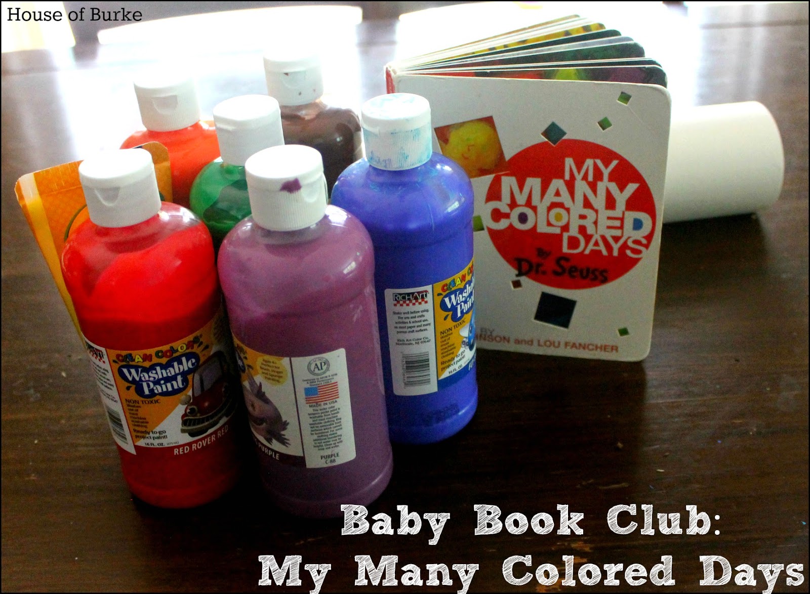 House of Burke Baby Book Club My Many Colored Days