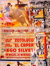 Toros Collages