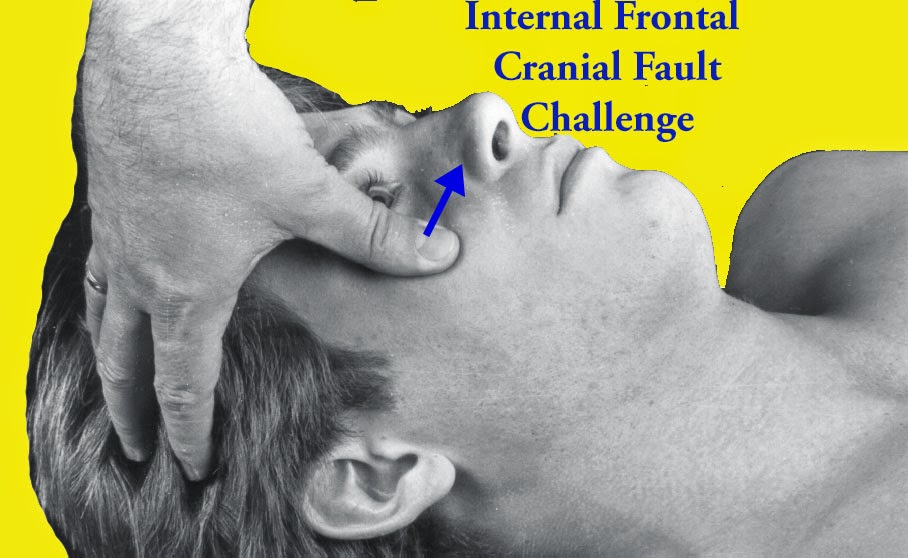 Dr. Scott Cuthbert Cranial Technique and craniosacral therapy and Applied Kinesiology