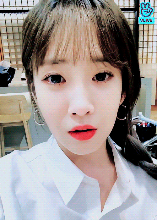5.gif