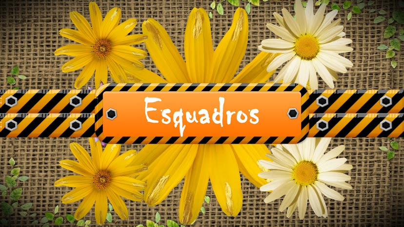 WEB PROGRAMA ESQUADROS