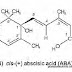 Abscisic Acid (ABA)