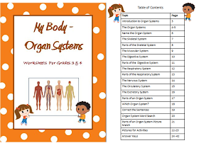 Happy Learners: Human Body Organ Systems