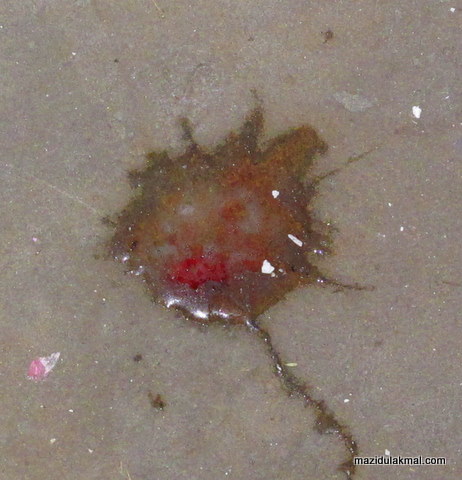 Bersama Mazidul Kru 666 Muntah Darah