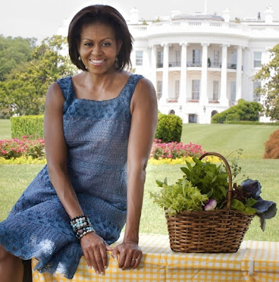 look tim ny ag obama necbirnbaumprotocol look tim ny ag obama necbirnbaumprotocol